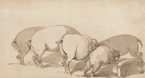 Pigs at a Trough, n. 1790 (grafiitti kynällä ja musteella ja ruskea pesu paperilla) tekijältä Thomas Rowlandson