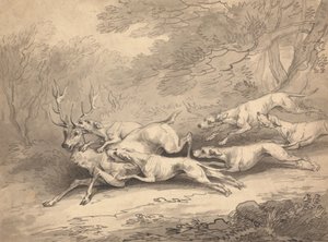 Koiralauma kaatoi hirven tekijältä Thomas Rowlandson