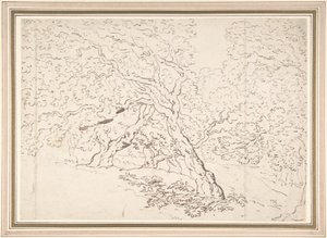Puiden tutkimus tekijältä Thomas Rowlandson