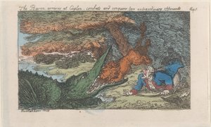 Paroni saapuu Ceyloniin, taistelee ja valloittaa kaksi poikkeuksellista vastustajaa..., [1809], julkaistu uudelleen 1811. tekijältä Thomas Rowlandson