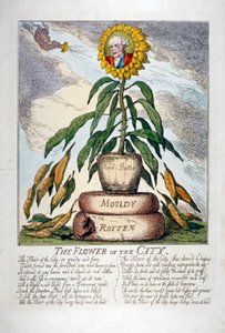 "Kaupungin kukka", 1809 tekijältä Thomas Rowlandson