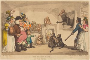 Tornin apinahuone tekijältä Thomas Rowlandson