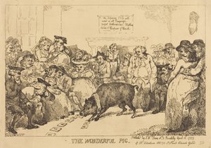 Ihmeellinen sika tekijältä Thomas Rowlandson