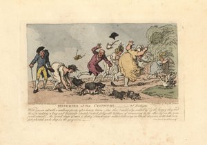 Nainen kaatumassa kengät mudassa. tekijältä Thomas Rowlandson