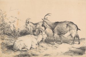 Kolme vuohta tekijältä Thomas Sidney Cooper