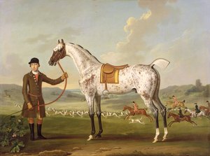 Scipio, eversti Rochen täplikäs metsästäjä, n. 1750