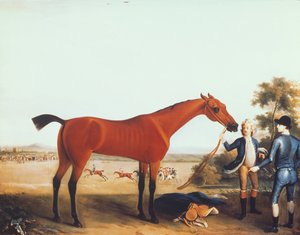 Duke of Devonshiren kilpahevonen "Childers"