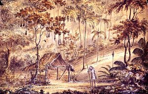 Glenin kota