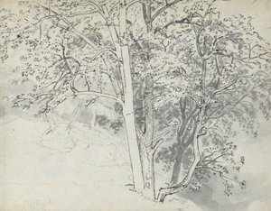 Puiden tutkimus tekijältä Thomas Stothard