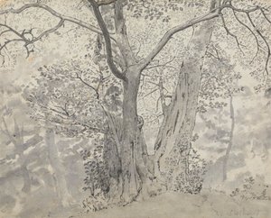 Puututkimus tekijältä Thomas Stothard