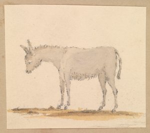Aasitutkimus, noin 1820 (tussi, tussi, tussi, vesiväri). tekijältä Thomas Streatfeild