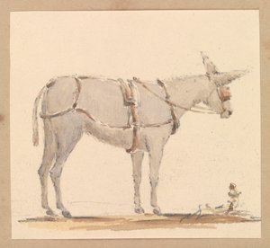 Aasitutkimus, jossa on aasi, jolla on suitset ja valjaat, noin 1820 (lyijykynä, ruskea ja harmaa tussi, paperi). tekijältä Thomas Streatfeild
