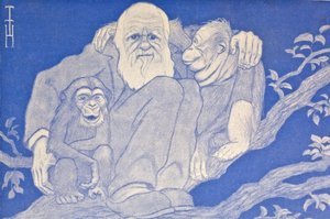 Vuoden 1909 sarjakuva Darwin apinoilla