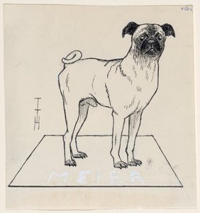 Mopit Meier tekijältä Thomas Theodor Heine