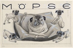 Acabat Pug tekijältä Thomas Theodor Heine