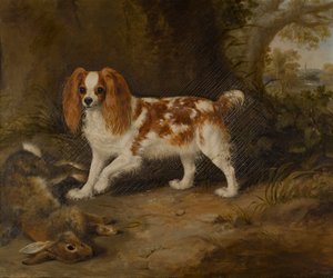 Spanieli ja kuollut jänis, n. 1822-74 (öljy kankaalle) tekijältä Thomas W. Bretland