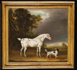 Appaloosa hevonen ja spanieli, 1807