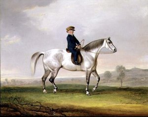 Mestari Edward Humphries harmaalla ponilla tekijältä Thomas Weaver