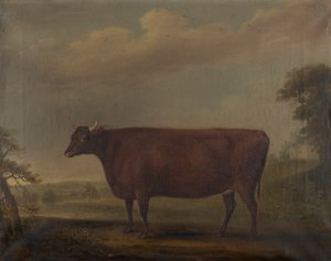 Punaiset devon-hiehot maisemassa, n. 1812 (öljy kankaalle)