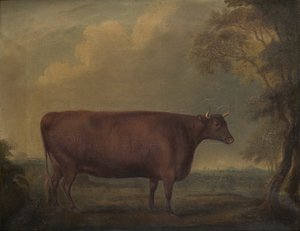 Punaiset devon-hiehot maisemassa, n. 1812 (öljy kankaalle)