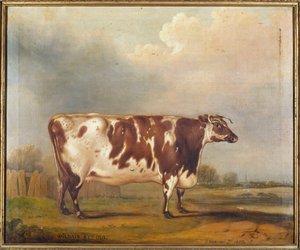 Wildair, kahdeksanvuotias hieho jokimaisemassa, 1827 tekijältä Thomas Weaver