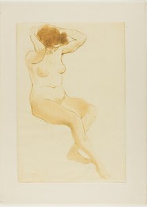 Nainen korjaamassa hiuksiaan, kolmen neljäsosan näkymä tekijältä Théophile Alexandre Pierre Steinlen