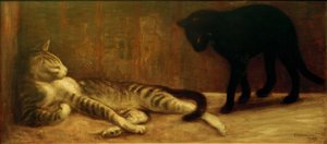 Chat ja Chatte