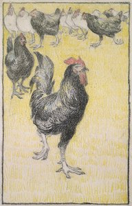 Kukko, jota seuraavat mustavalkoiset kanat (grafiittia mustalla ja värillisellä liidulla valkoisella paperilla, reunustettu mustalla liidulla) tekijältä Théophile Alexandre Steinlen