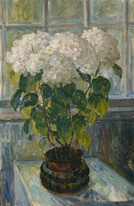 Hortensia tekijältä Thorolf Holmboe