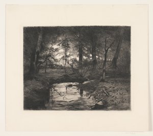 Aa Borrevejlen metsässä