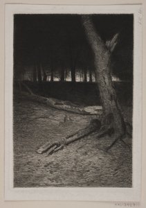 Metsän sisustus. Ilta tekijältä Thorvald Niss