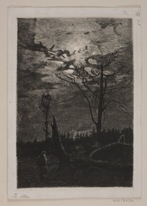 Metsien hävittäminen. Ilta tekijältä Thorvald Niss