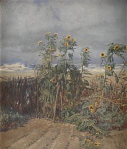 Auringonkukat rannalla