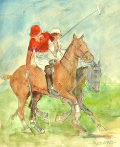 Polo-ottelu
