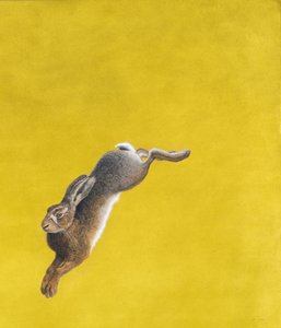 The Leap-Yellow, akvarelli ja guache Arches 640 g/m² paperille, 101.6 x 86.3cm.