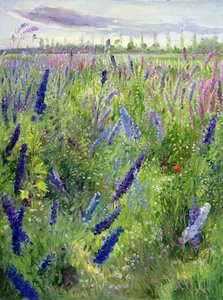 Ritarinkukat ja kehittyvä aurinko tekijältä Timothy Easton