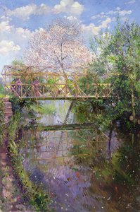 Kukkiva kirsikka ja ristikkosilta tekijältä Timothy Easton