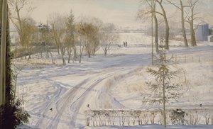 Moorhens etsimässä tekijältä Timothy Easton