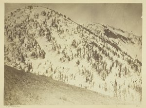Snow Peaks, Bull Runin kaivospiiri, Nevada tekijältä Timothy O