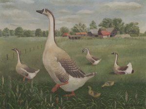 Kuihtuisitko sinä vaeltamaan? tekijältä Tirzah Ravilious