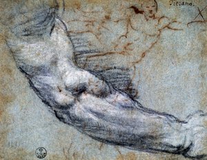 Tutkimus käsivarresta, Titian (n. 1488-1576), piirustus tekijältä Titian (c.1488 1576)