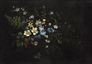 Kukkien ja saniaisten suihke, päivämäärä tuntematon. tekijältä Titian Ramsay Peale