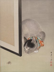 Kissa katselee hämähäkkiä, n. 1888-92. tekijältä Toko Oide