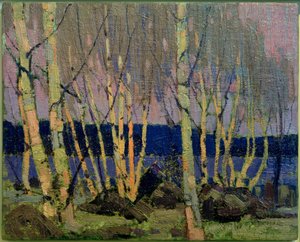 Ilta, Canoe Lake