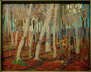 Vaahterametsä, paljaat rungot, 1915