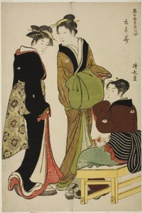 Doteshitan kaupunginosan (Dotebana) kukat sarjasta "Kokoelma Pleasure Quartersin nykyaikaisia kauneutta (Tosei yuri bijin awase)" tekijältä Torii Kiyonaga