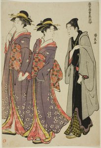 Out for a Walk, sarjasta "Kokoelma Pleasure Quartersin nykyaikaisia kaunokaisia (Tosei yuri bijin awase)"
