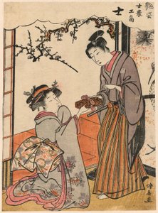 Samurai (Shi) sarjasta Beauties Illustrating the Four Social Classes (Adesugata shi no ko sho) tekijältä Torii Kiyonaga