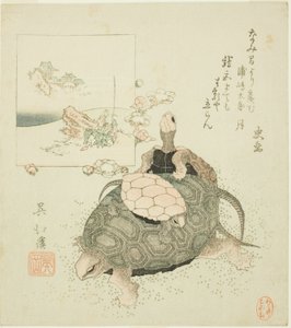 Sea turtles and Urashima Taro tekijältä Totoya Hokkei