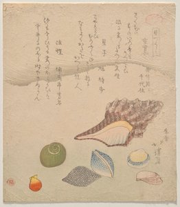 Seven Shells at the Edge of the Sea, sarjasta Shells Compendium (Kaizukushi) tekijältä Totoya Hokkei